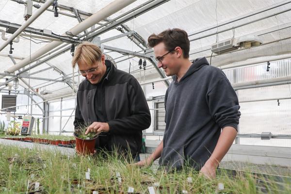 Faculty member, Robert Pal, and a student looking at plant samples